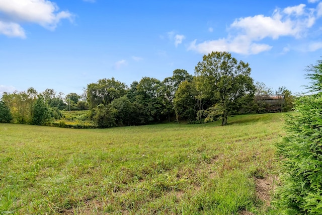 2736 Critz Ln, Thompsons Station, TN 37179