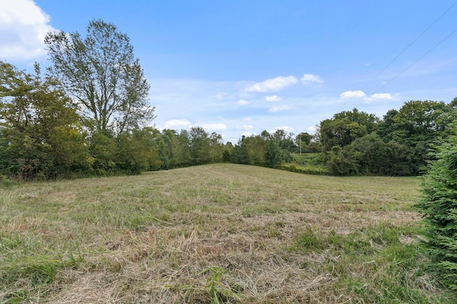 2736 Critz Ln, Thompsons Station, TN 37179