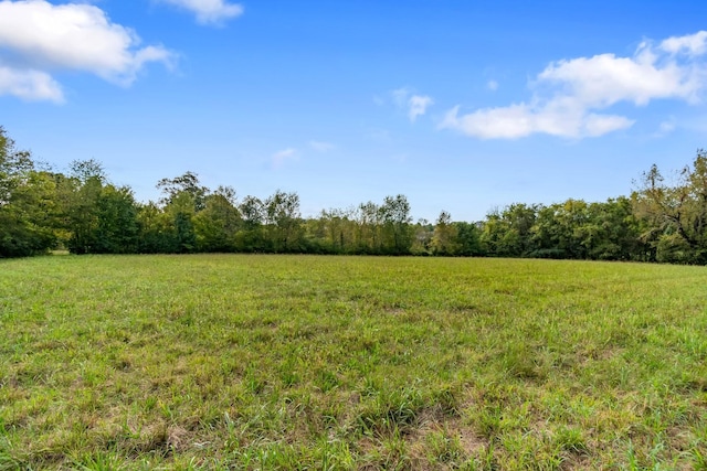 2736 Critz Ln, Thompsons Station, TN 37179