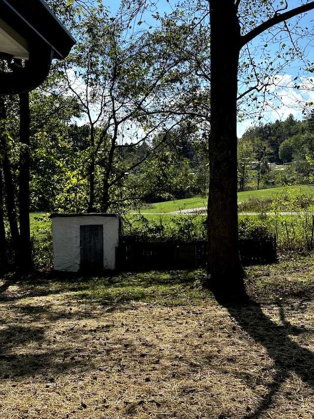 view of yard featuring a storage shed