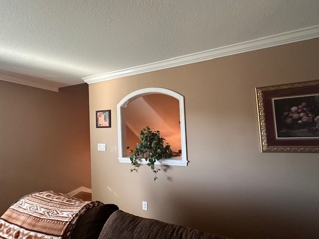 interior details featuring ornamental molding and a textured ceiling