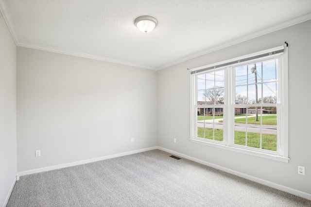 spare room featuring carpet and ornamental molding