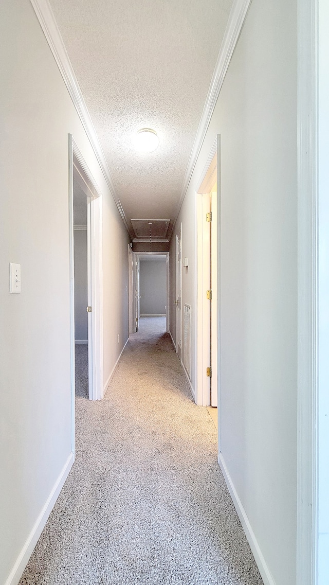 corridor featuring crown molding, light colored carpet, and a textured ceiling