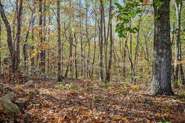 view of landscape