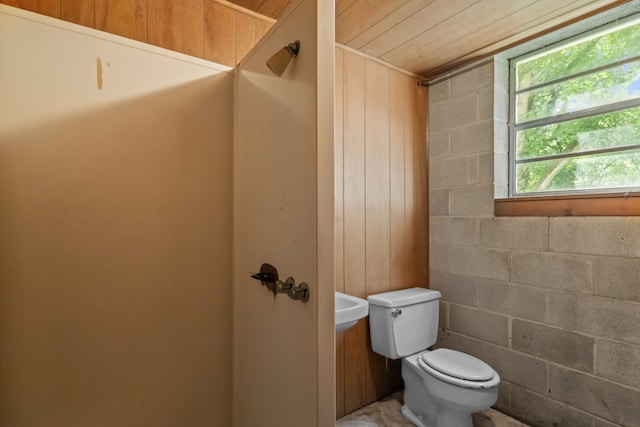 bathroom featuring wood walls, toilet, and wooden ceiling