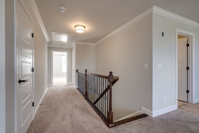 hall featuring ornamental molding and light carpet