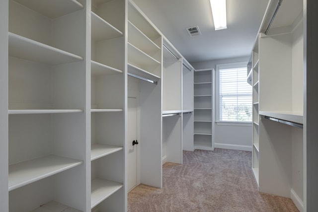 walk in closet with light carpet