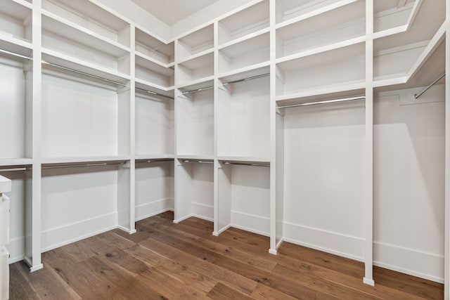 walk in closet with dark wood-type flooring