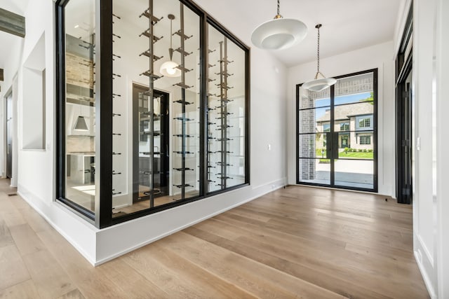 wine cellar featuring wood-type flooring