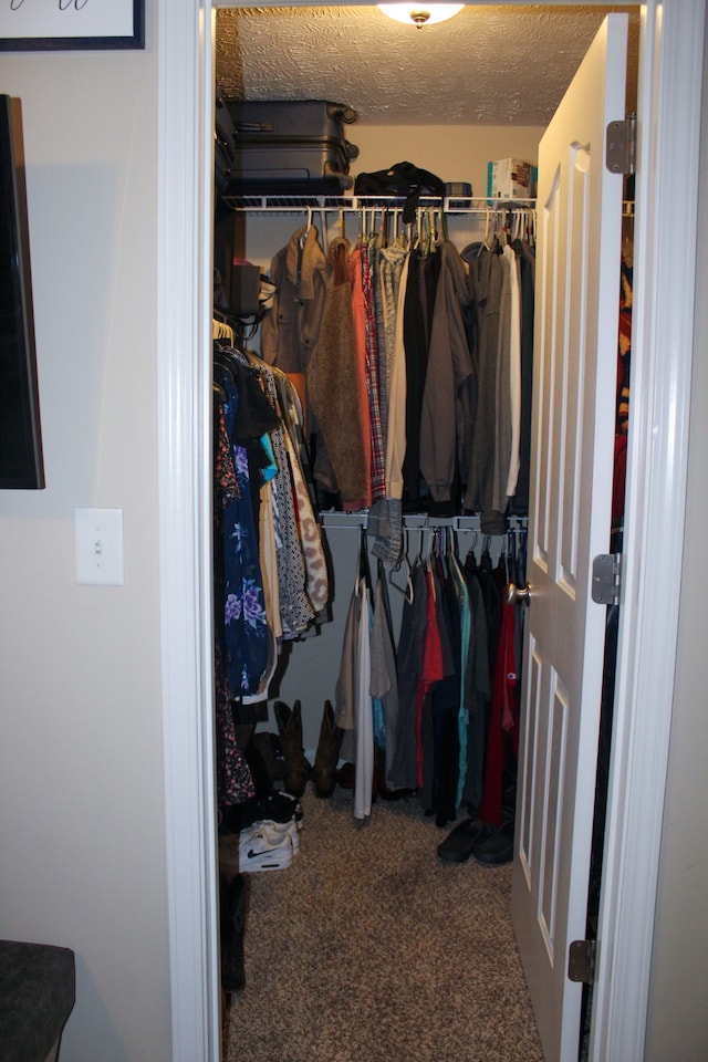 spacious closet featuring carpet