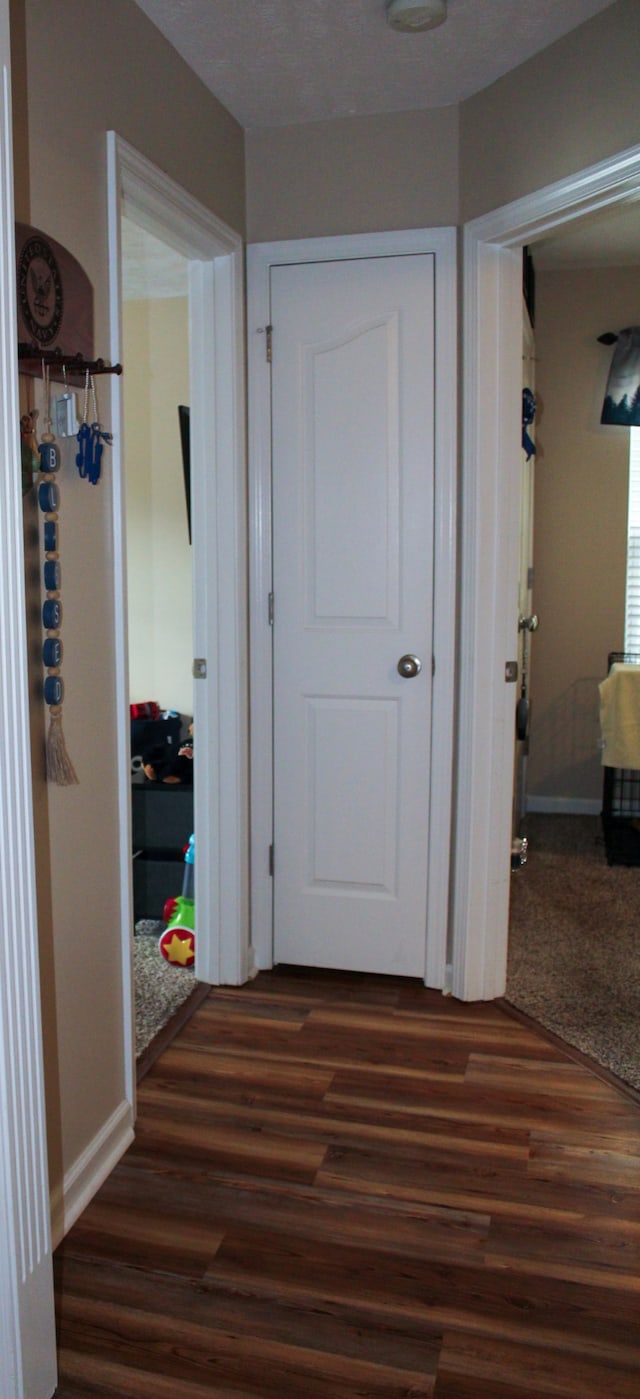 hallway with dark hardwood / wood-style flooring