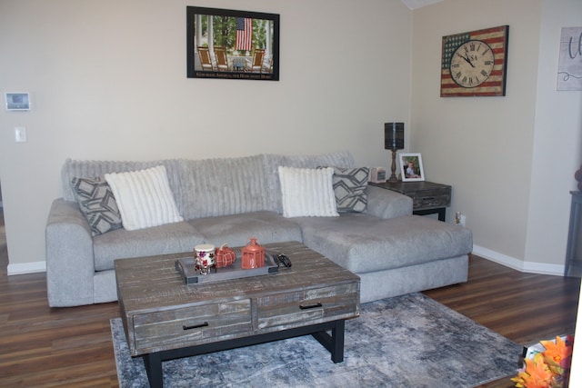 living room with dark hardwood / wood-style floors