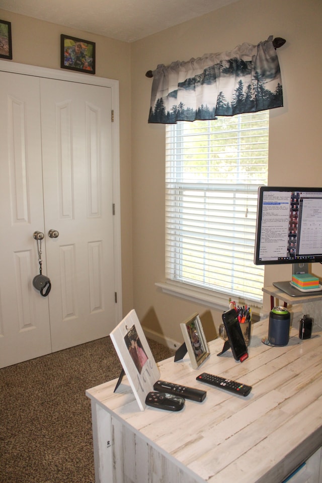 interior space with carpet flooring