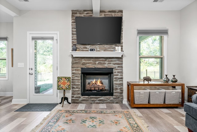 living room featuring a fireplace, hardwood / wood-style floors, and a wealth of natural light