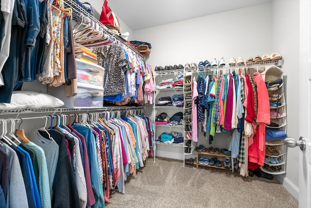 spacious closet with carpet flooring