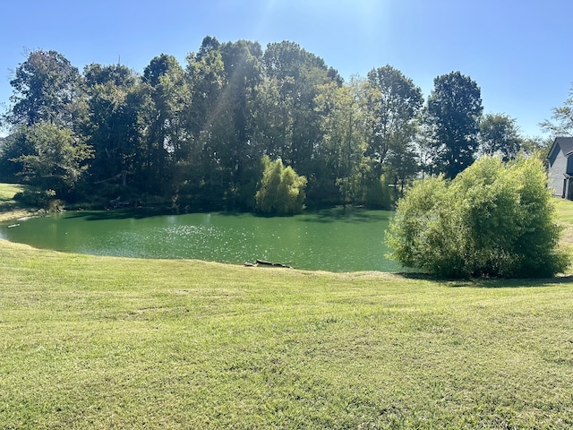 view of water feature