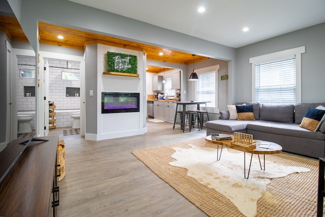 living room featuring light hardwood / wood-style flooring and sink