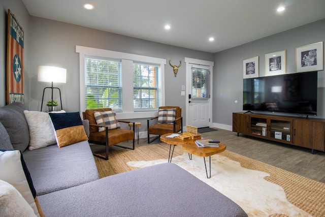 living room with hardwood / wood-style flooring