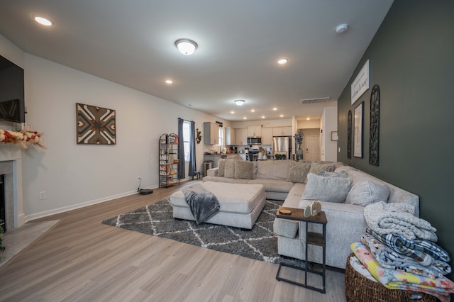 living room with a premium fireplace and hardwood / wood-style flooring