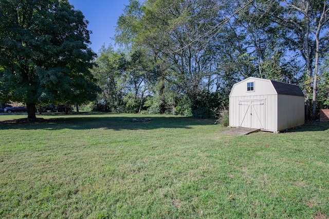 view of yard with a storage unit