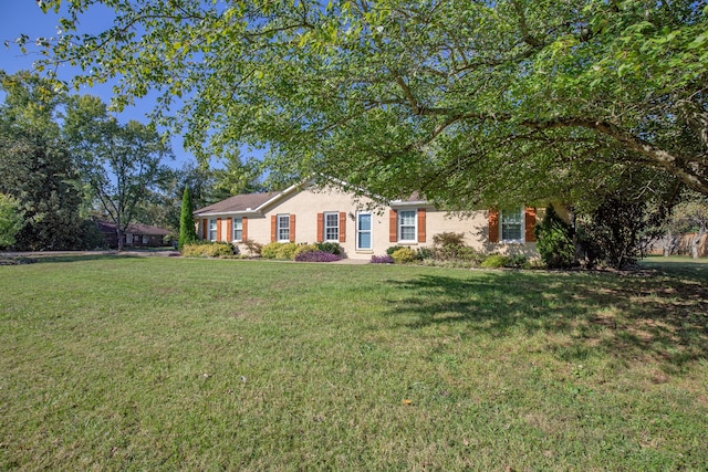 view of front of house with a front yard