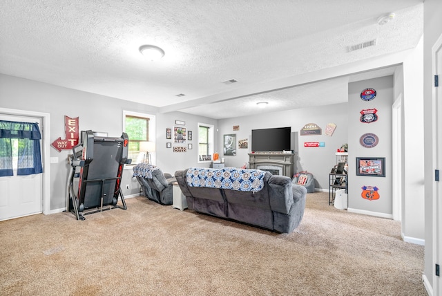 living room with a textured ceiling and light colored carpet