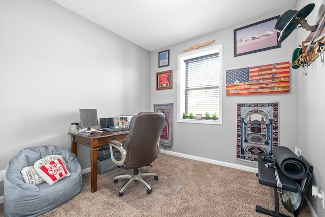 view of carpeted home office