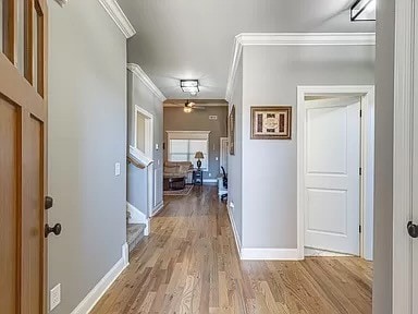 corridor featuring crown molding and light hardwood / wood-style floors