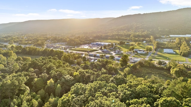 aerial view featuring a mountain view