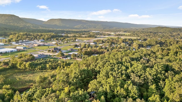 aerial view featuring a mountain view