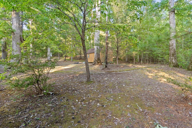 view of yard featuring a storage shed