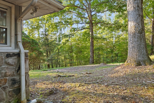 view of yard featuring ceiling fan