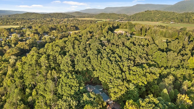 birds eye view of property with a mountain view