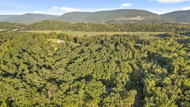 property view of mountains