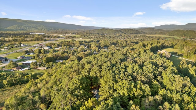 drone / aerial view featuring a mountain view