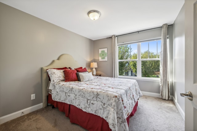 bedroom featuring carpet floors