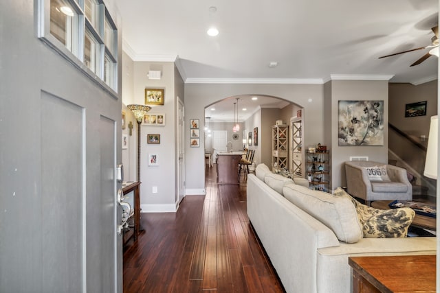 living room featuring ceiling fan, ornamental molding, and dark wood-type flooring