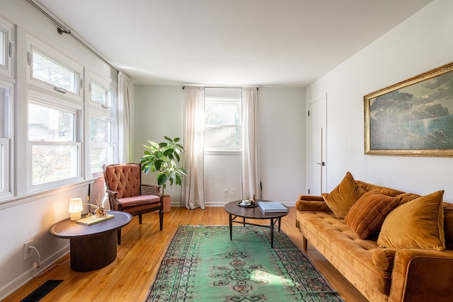 living room featuring a healthy amount of sunlight and light hardwood / wood-style floors