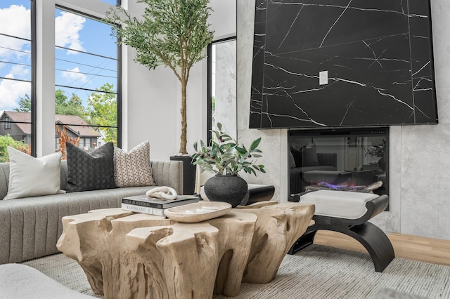 living room with wood-type flooring