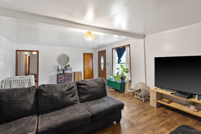 living room with hardwood / wood-style floors