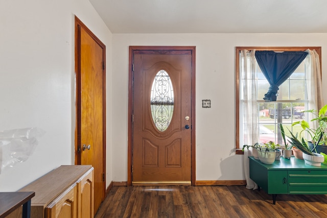 entryway featuring plenty of natural light and dark hardwood / wood-style floors