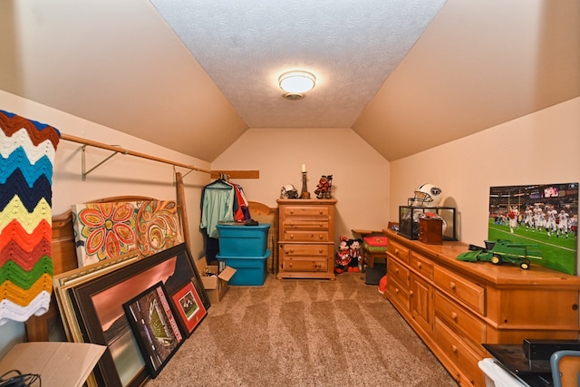 interior space with carpet floors, a textured ceiling, and lofted ceiling