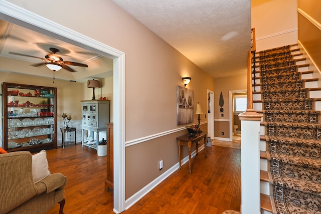 interior space featuring a textured ceiling and dark hardwood / wood-style floors