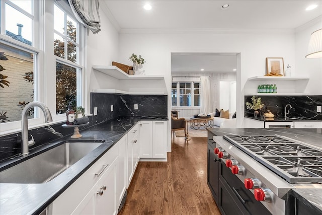 kitchen with dark wood-type flooring, crown molding, sink, decorative backsplash, and high end stove