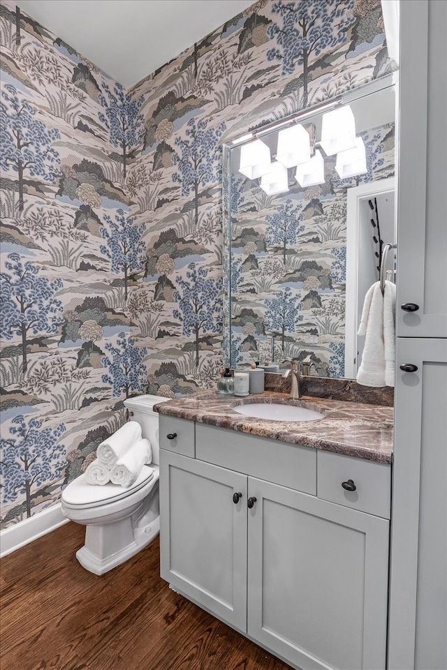 bathroom with wood-type flooring, vanity, and toilet