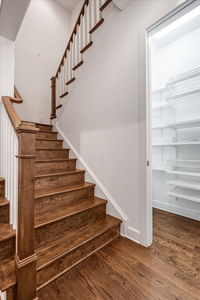 staircase with hardwood / wood-style flooring