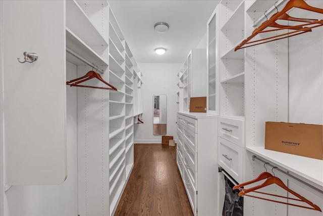 spacious closet featuring dark hardwood / wood-style flooring