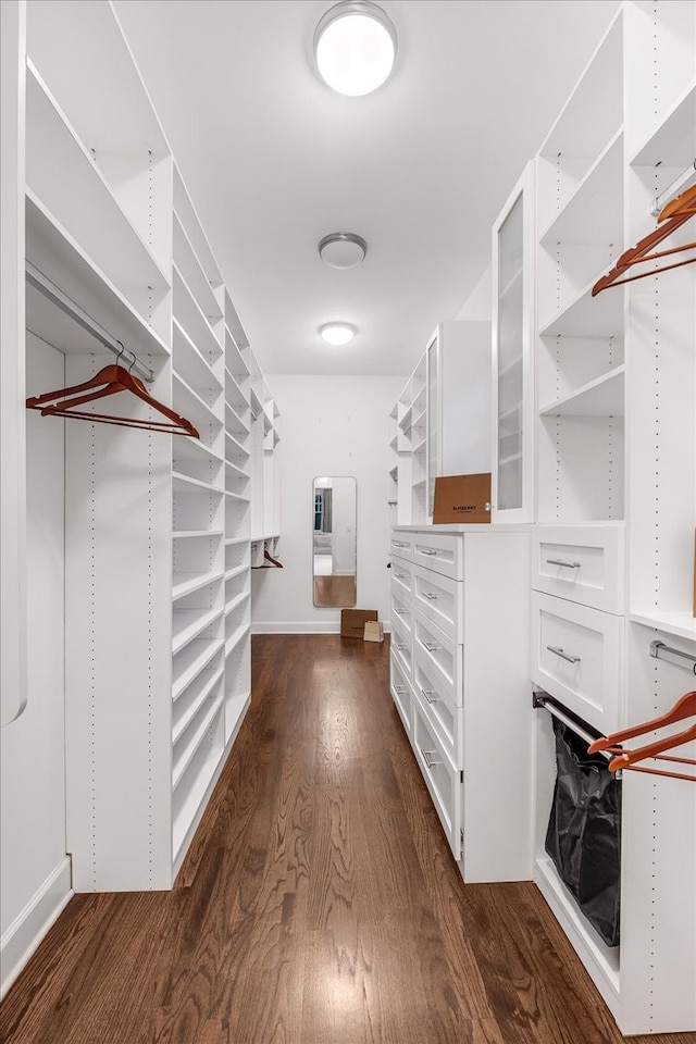 walk in closet featuring dark hardwood / wood-style floors