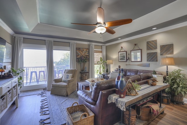 living room featuring a raised ceiling, plenty of natural light, and hardwood / wood-style floors