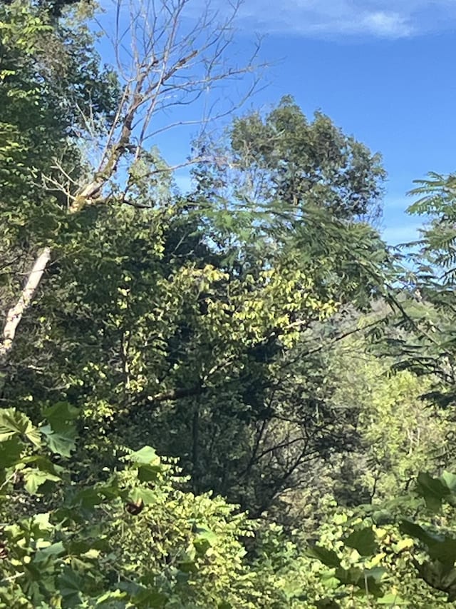 0 Neeley Creek Rd, Celina, TN 38551